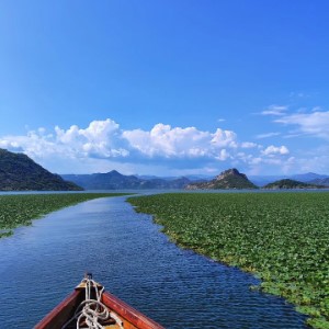 Le lac Skadar, dernière étape de cet été au Monténégro 🇲🇪